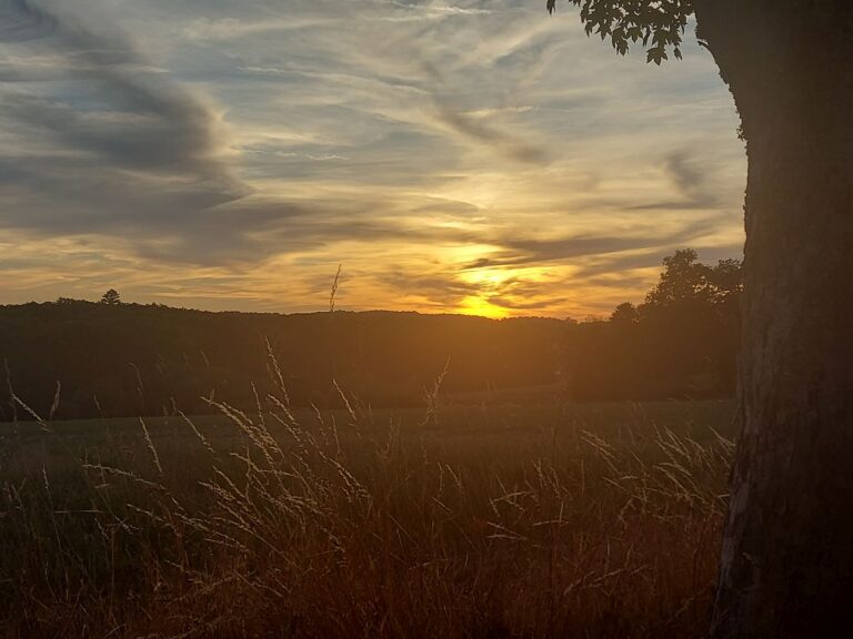 Abend 3